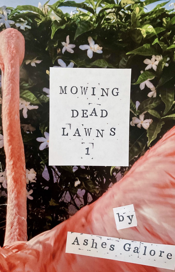 Dead Lawns